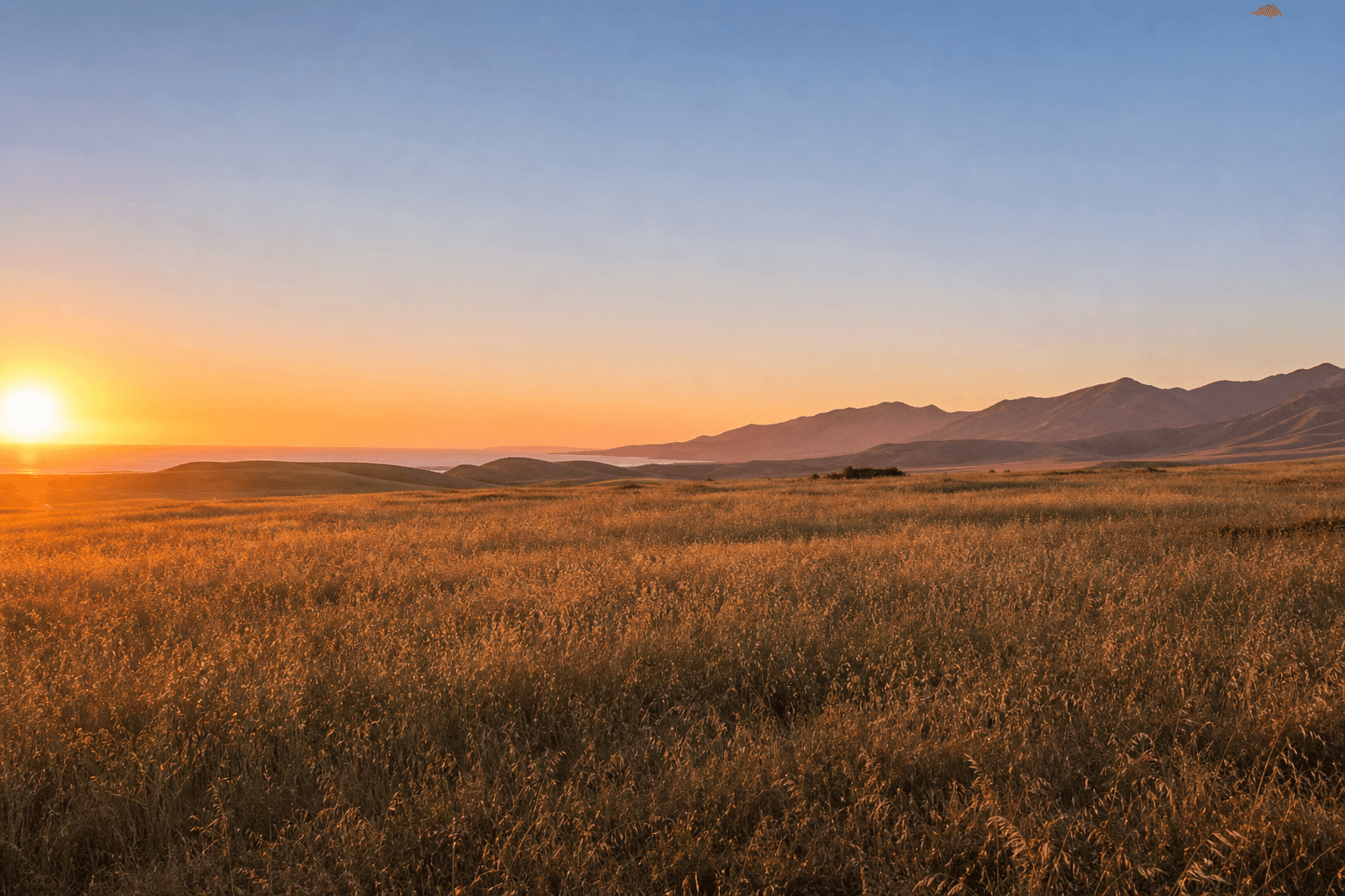 Wide open peaceful California meadow at sunrise representing safety and spaciousness in PTSD recovery