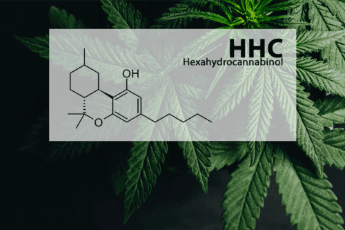 HHC vs THC: Understanding the Key Differences